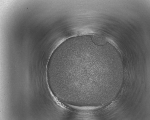 X0000060811047200511171303