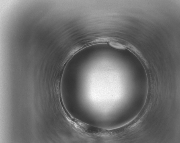 X0000060811049200511171303