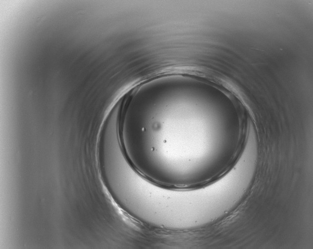 X0000060811050200511171303