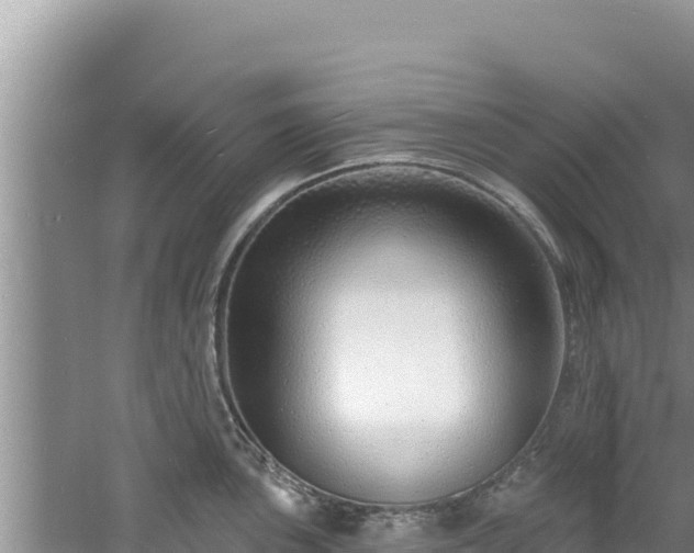 X0000060811051200511171303