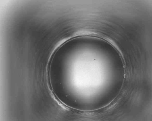 X0000060811053200511171303