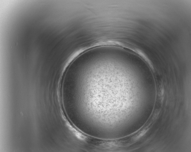 X0000060811054200511171303