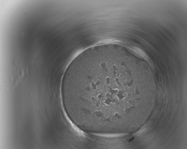 X0000060811055200511171303