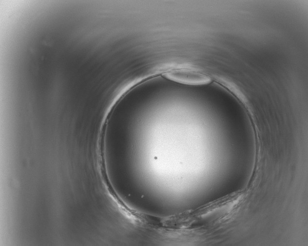 X0000060811056200511171303