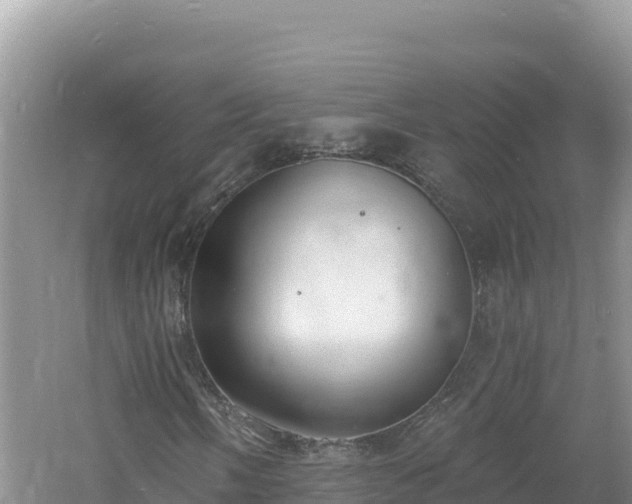 X0000060811058200511171302