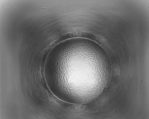 X0000060811060200511171302