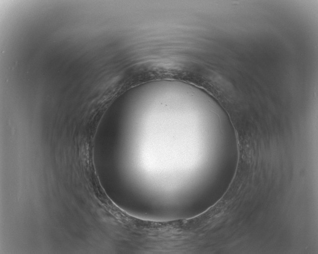 X0000060811061200511171302