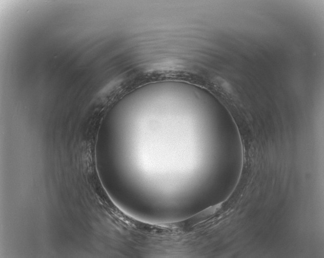 X0000060811062200511171302