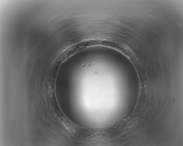 X0000060811064200511171302