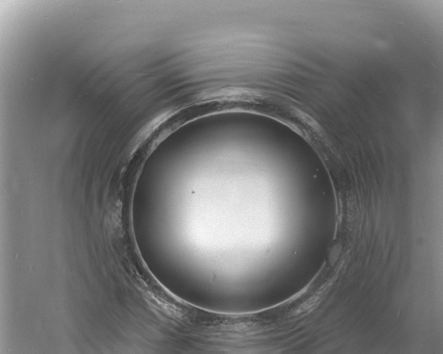 X0000060811066200511171302