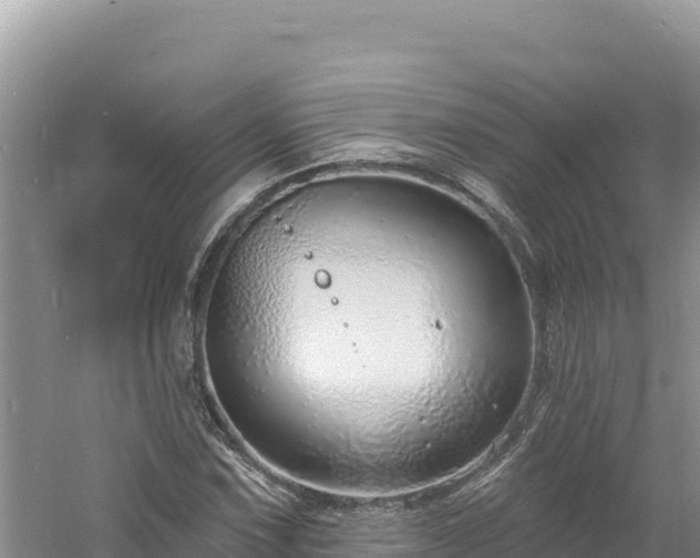 X0000060811067200511171302