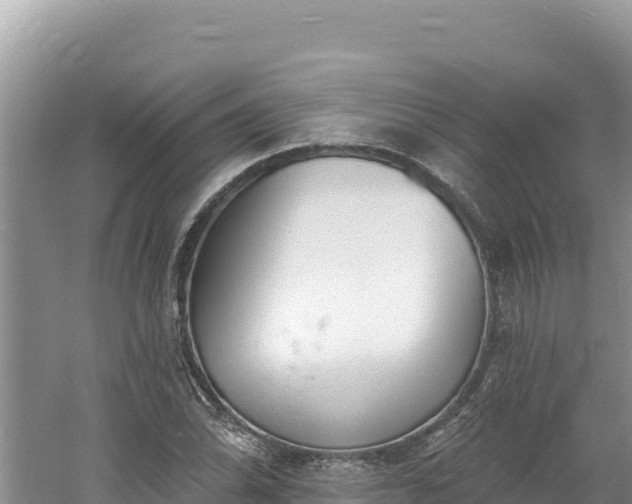 X0000060811070200511171302