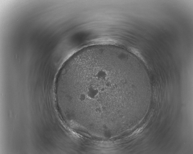 X0000060811071200511171302