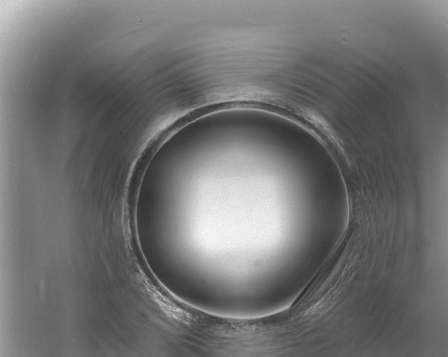 X0000060811072200511171302