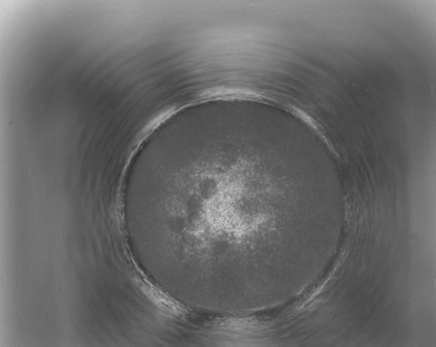 X0000060811074200511171302