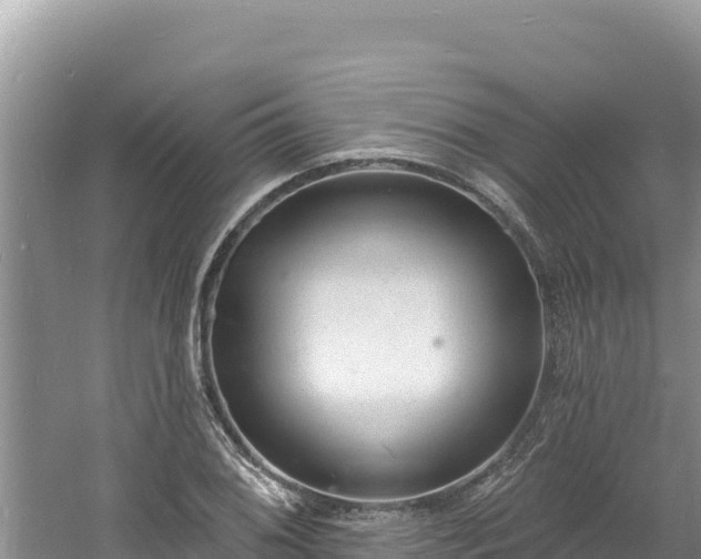 X0000060811076200511171302