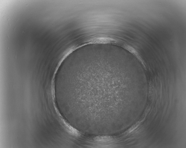 X0000060811083200511171302