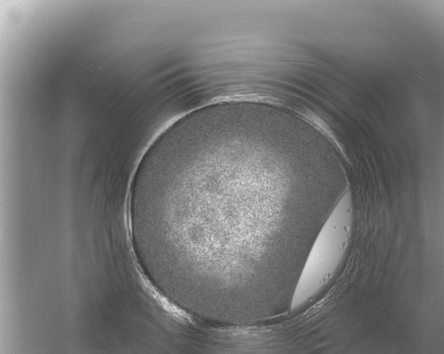 X0000060811084200511171302