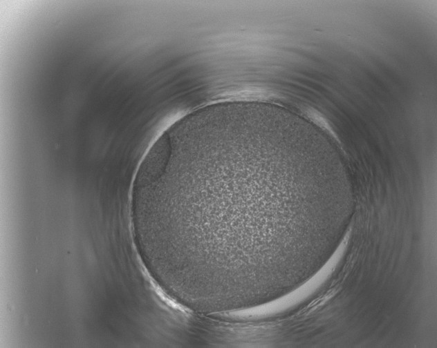 X0000060811087200511171302