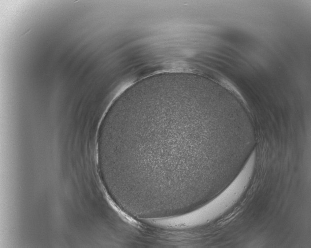 X0000060811095200511171302