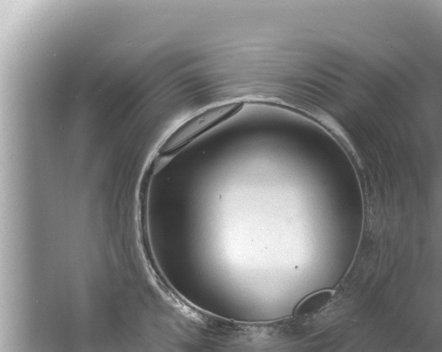 X0000060811096200511171302