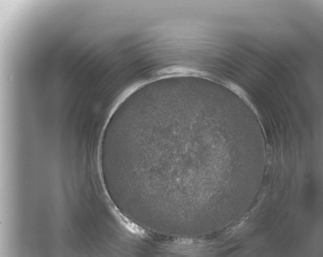 X0000060811098200511171302