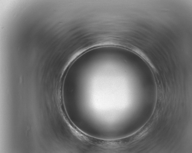 X0000060811101200511171301