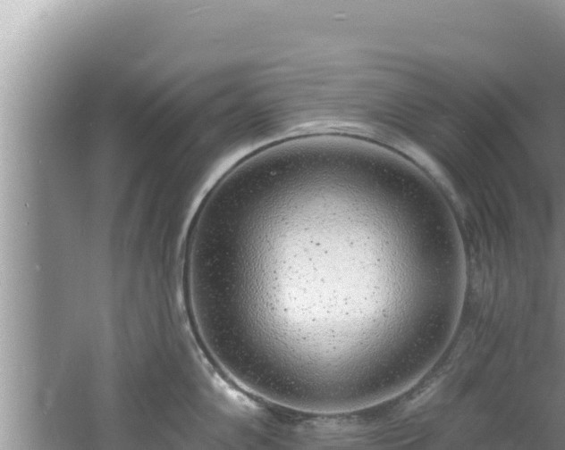 X0000060811102200511171301