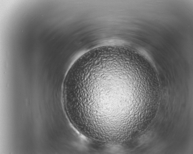 X0000060811103200511171301