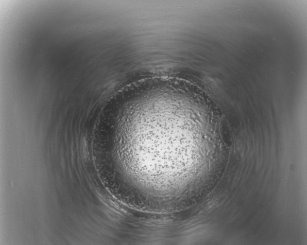 X0000060811106200511171301