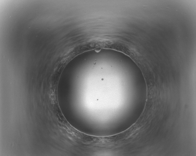 X0000060811109200511171301