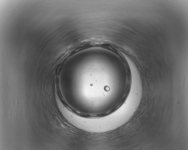 X0000060811110200511171301