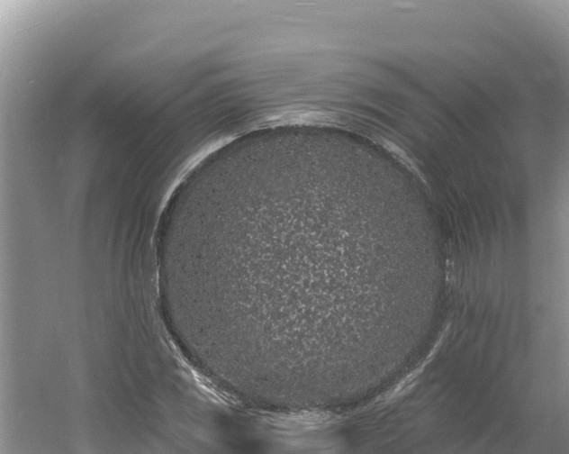 X0000060811117200511171301