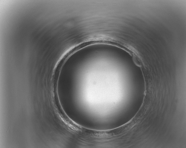 X0000060811120200511171301