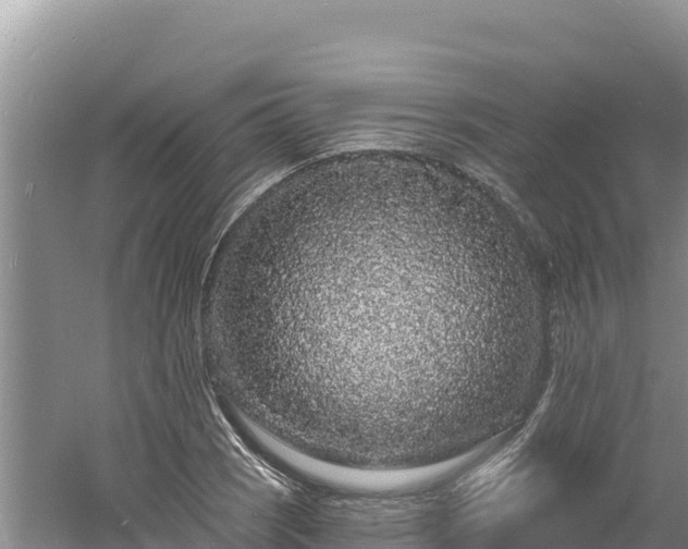 X0000060811121200511171301