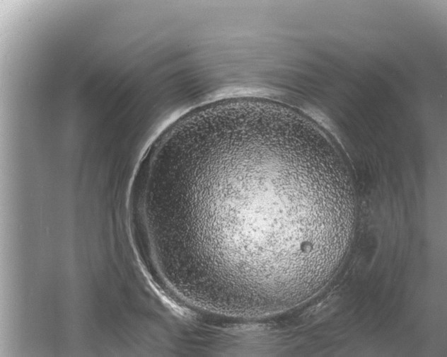 X0000060811127200511171301