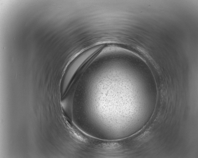 X0000060811129200511171301