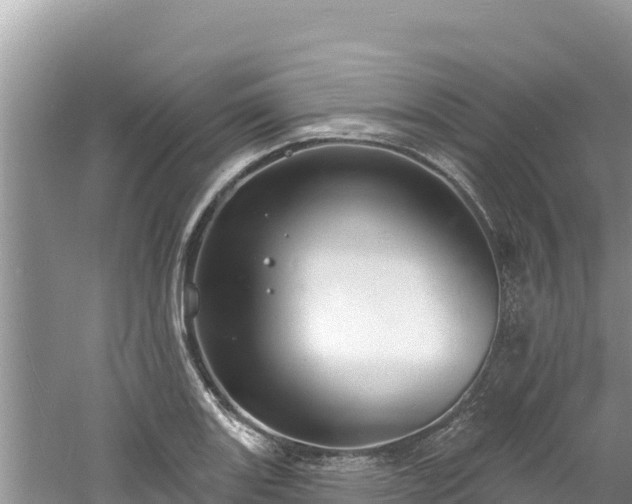 X0000060811131200511171301