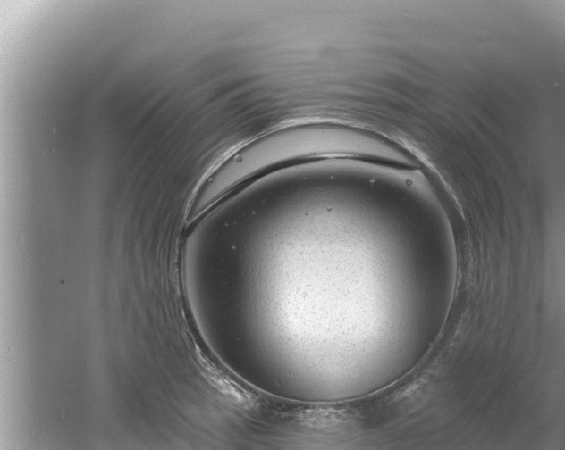 X0000060811137200511171301