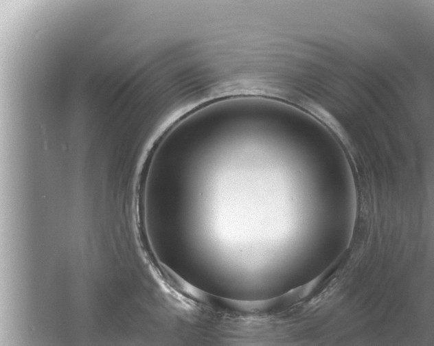 X0000060811144200511171301