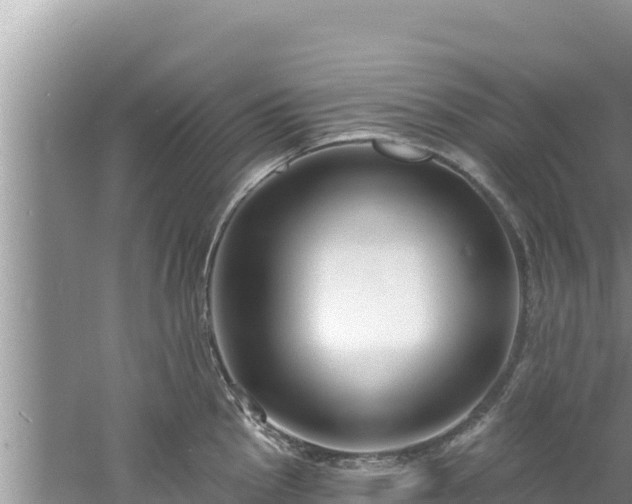 X0000060811145200511171301