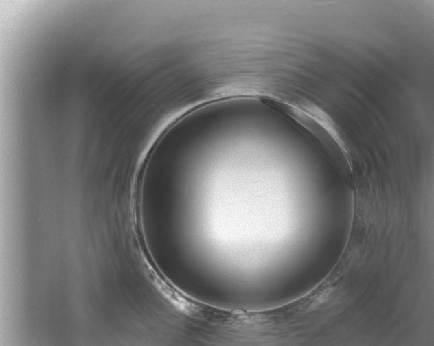 X0000060811148200511171301