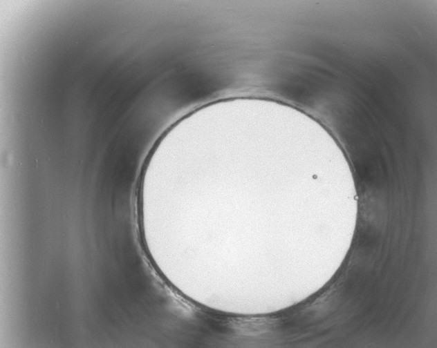 X0000060811150200511171301