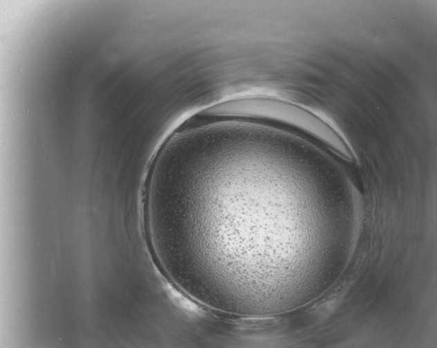 X0000060811151200511171301