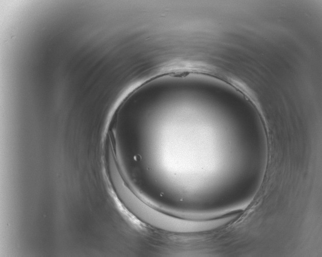 X0000060811152200511171301