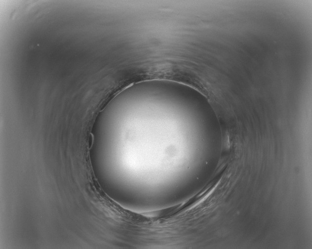 X0000060811153200511171301