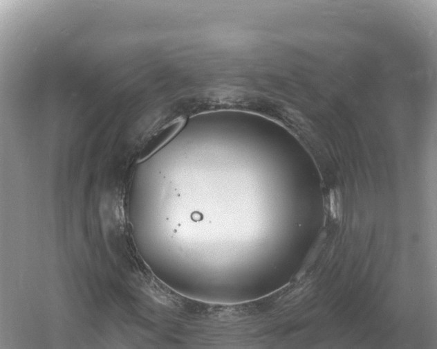 X0000060811155200511171301