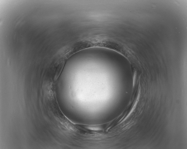 X0000060811156200511171301