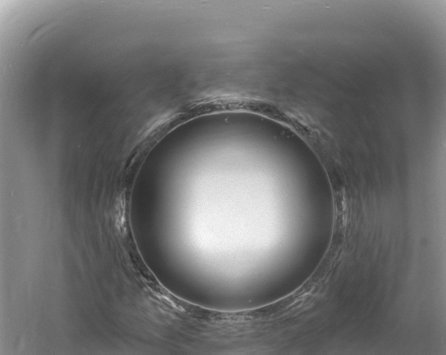 X0000060811157200511171301