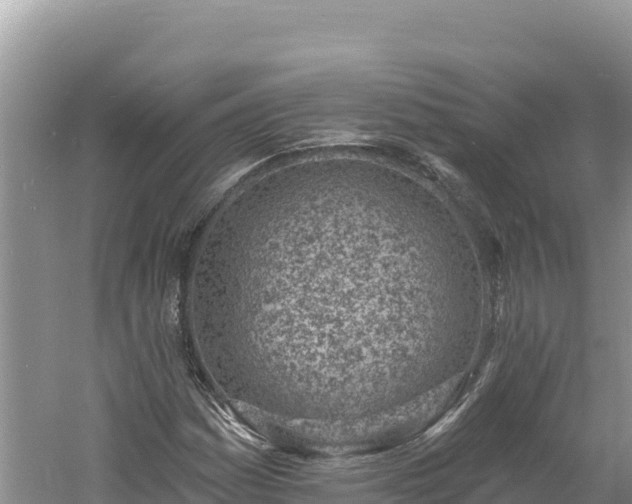 X0000060811161200511171300